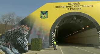 В России появился автотоннель, защищающий дальневосточных леопардов