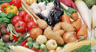 Дачники Петербурга помогут продуктовому снабжению города