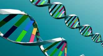 Учёные нашли генетическую мутацию, защищающую от диабета 2 типа