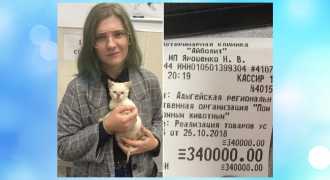 Девушка оплатила долг приюта для животных в треть миллиона