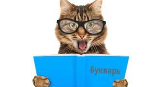 Учёные из Швеции начали изучать кошачий язык