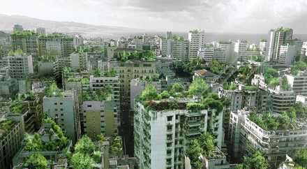 Французы покроют крыши высоток зеленью