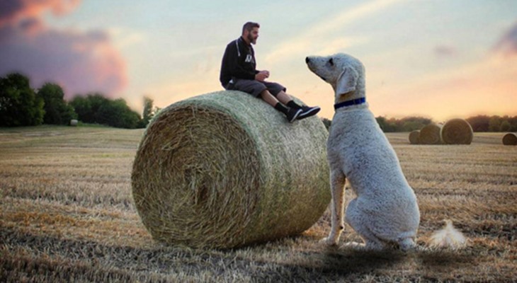 Фотограф из США Крис Клайн сделал звездой интернета собственного пса