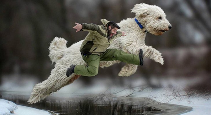 Фотограф из США Крис Клайн сделал звездой интернета собственного пса