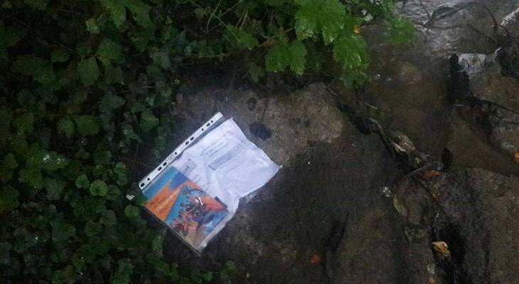 Бельгийцы вместо покемонов охотятся на книги