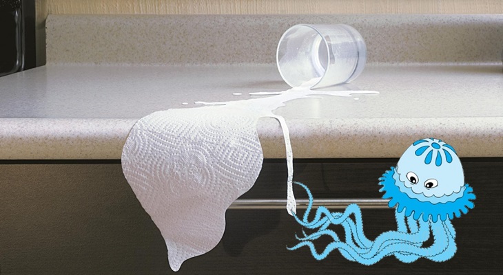 Впитывающие ткани из медуз