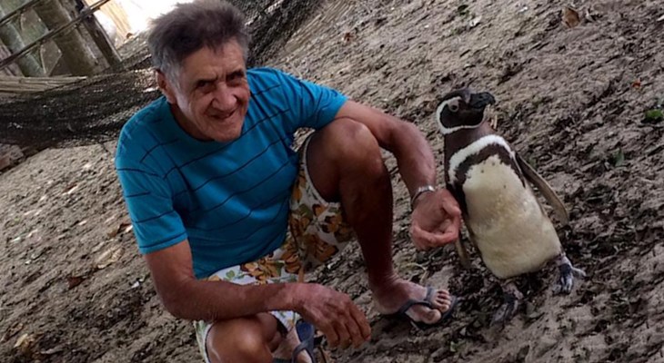 Пингвин каждый год возвращается к своему спасителю за 5000 километров