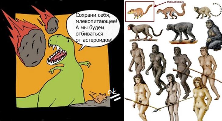 Пургаториус и эволюция