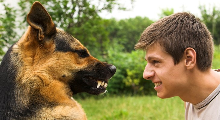 Собаки чувствуют отношения хозяина с другими людьми