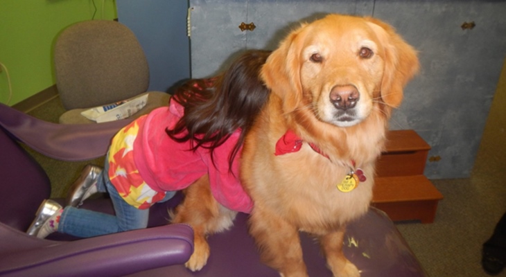 Стоматолог успокаивает детей при помощи собаки