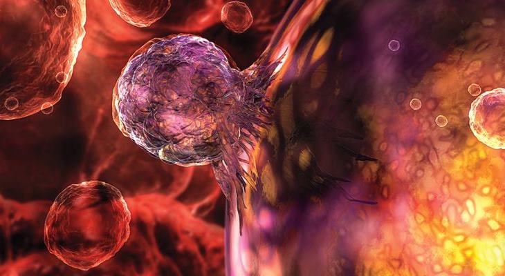 Учёные России нашли способ лечить рак стволовыми клетками