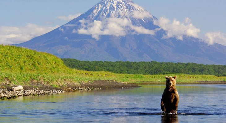 Туризм по России. Медведь в озере