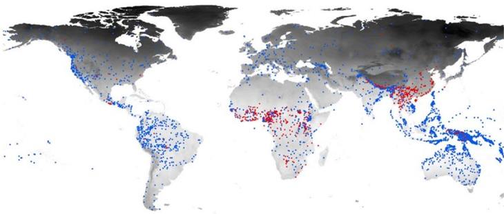 Карта языков мира: красные - тональные, синие - нет