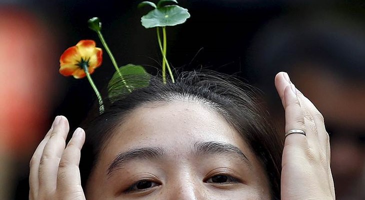 Растения на голове - новая мода в Китае