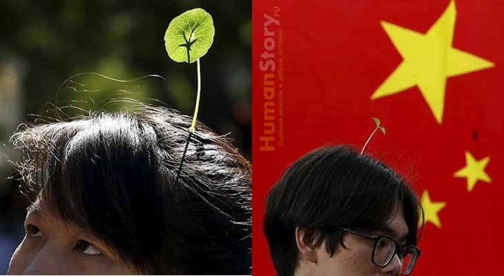 Растения на голове - новая мода в Китае