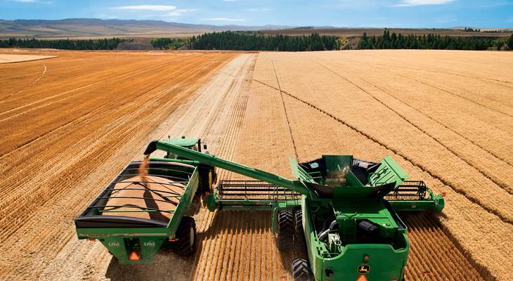 В России начали снижаться цены на пшеницу